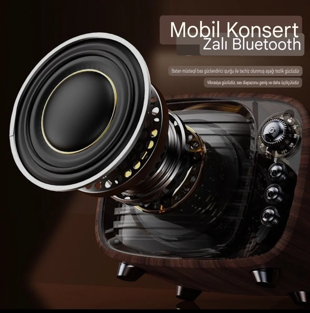 Портативная колонка 6240_taradio11 Brown - 2
