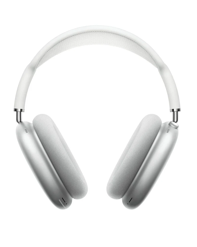 Earphone Max Gray - 2